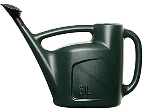 St@llion 6L Gießkanne, grüne Kunststoff-Gießkanne mit Rosengartenpflanzen Indoor Outdoor Wasser Sprinkler für einfaches Ausgießen und bessere Kontrolle (Grün, 1 Stück)