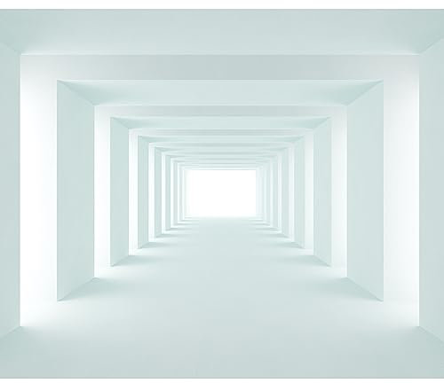 murando - Fototapete Premium-Vlies 3d Effekt 100x70cm- Foto Tapete Schlafzimmer Wohnzimmer Moderne Vliestapete XXL Wandtapete Motivtapeten Bildtapete 3d Effekt Wand Dekoration Flur Tunnel a-A-0124-a-d