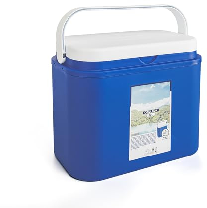 BESCH Nevera Acampada Portátil 10 litros con Asa - Mini Nevera Porta Alimentos Bebidas para Playa, Camping, Picnic