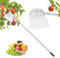 Relaxdays Recogedor Fruta, 4m, Mango Telescópico, Recolector Manzanas, Cerezas, Ciruelas, Bolsa, Acero Inoxidable, Plata, 20% poliéster 80%, 4 m