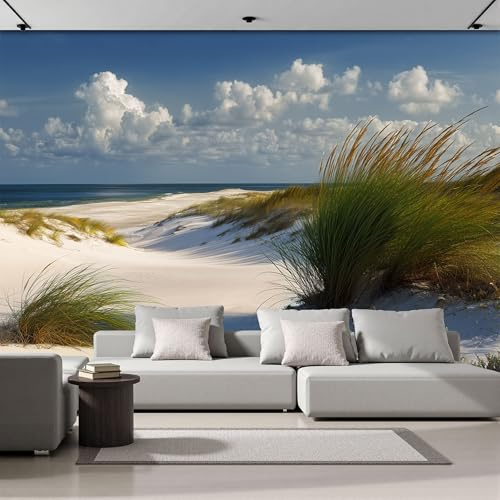 Papier Peint Panoramique 300x210cm, Papier Peint Paysage côtier Dune de sable, herbiers marins, océan Photo Murale Wallpaper Pour Chambre, Salon, Mur TV Artistique, Restaurant Décoration Murale