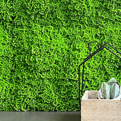 TENAX Divy 3D Muscus 1x1 m Verde, Siepe Artificiale Tipo Muschio, Pannello Componibile per Giardino Verticale