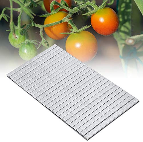 10000Pcs 604C Tomaten Reben Binder Nagel Tapetool Garten Nagel BH Bindung Nagel Anlage Tapetool Heftklammern 604C Tapetool
