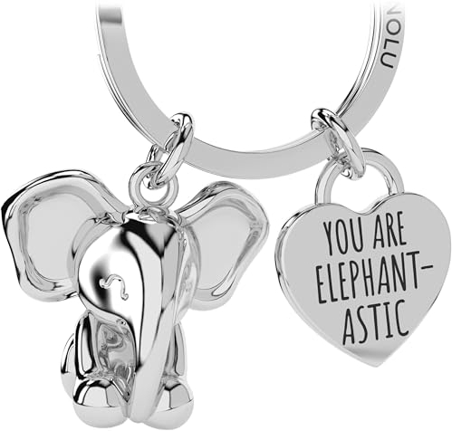 LANOLU Schlüsselanhänger Elefant Rüsselmeister, Glücksbringer Schlüsselanhänger Partner und für beste Freundin, Paar Geschenk Freund aus Metall