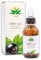 Ribes nero (Ribes nigrum) Gemmoderivato alcoolico da gemme fresche - Estratto liquido gocce 100 ml - Integratore alimentare - Antistaminico naturale