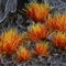 Alien Fire Tuft 6mm Tufts, Gamers Grass, Modeling/Miniatures/Wargamming