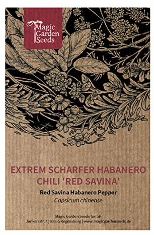 Extrem scharfer Habanero Chili 'Red Savina' (Capsicum chinense) - ca. 10 Samen