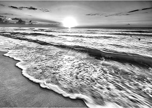 Runa Art Papier peint intissé 396 x 280 cm Plage coucher du soleil de la mer | Toison Décoration Murale Salon Chambre á Coucherr | Fabrication Allemande | Noir et blanc 9467012c