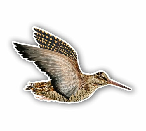 AMA SHOP Aufkleber Vogel Beccaccia Modell 11 | geeignet für Helm Auto Motorrad | Aufkleber | Leidenschaft Jagd