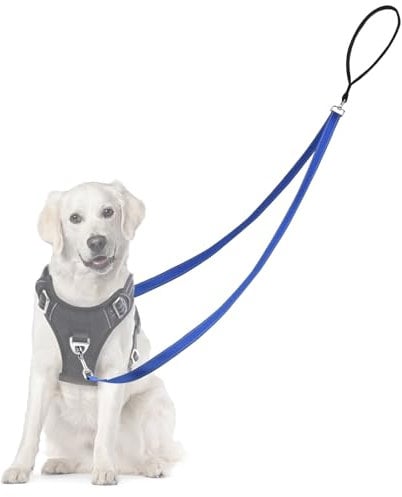 Adiwo Anti Zug Hundegeschirr, Keine Verwicklung Reflektierend Doppelleine, für große mittlere Hunde Anti-Zieh Geschirr Hundeleine, Blau