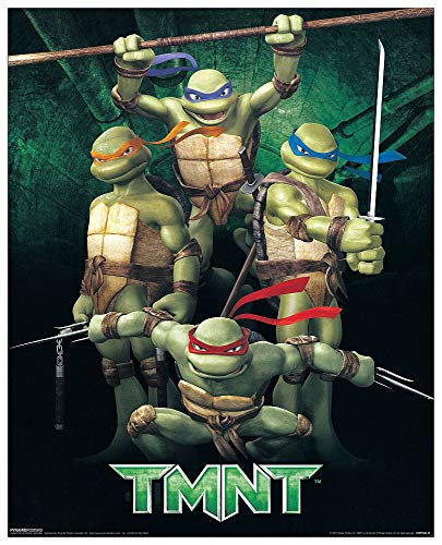 Artopweb TW20524 Ninja Turtles Dekorative Paneele, Multifarbiert, 40x50 Cm