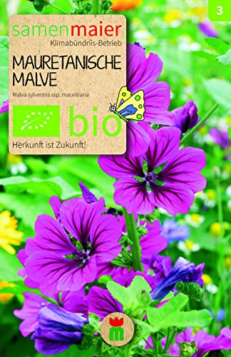 Malva Mauritania Bio (Malva sylvestris ssp. Mauritiana)