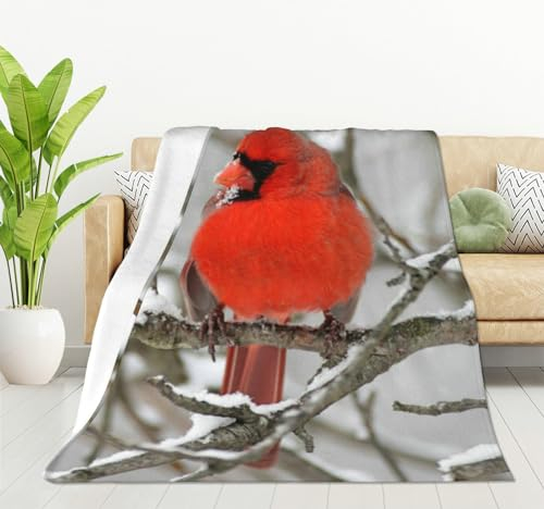 HGOD DESIGNS Rote Kardinal-Decke, Winter-Schnee-Vogel auf Baumzweig, weich, warm, Überwurf, Decke für Couch, Bett, 100 x 130 cm