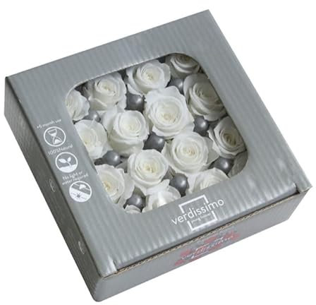 Générique VERDISSIMO Rosa Stabilizzata Principessa da 2 a 2,5 cm di diametro (bianco)