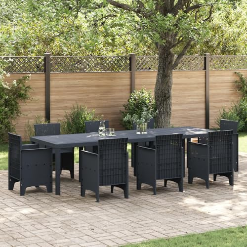 Qnhdfrt Großer Erweiterbarer Gartentisch Anthrazit 300x100x73 cm aus Metall Aluminium und Holz für Outdoor Nutzung Platz für 10 Personen Modernes Design Wetterfest