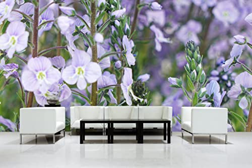 Glücksvilla - tapisserie photographique autocollante - papier peint intissé. Diff. tailles - DE - Photo. Motif: fleurs de gentiane violettes - 600 x 300 cm - prairie nature plante