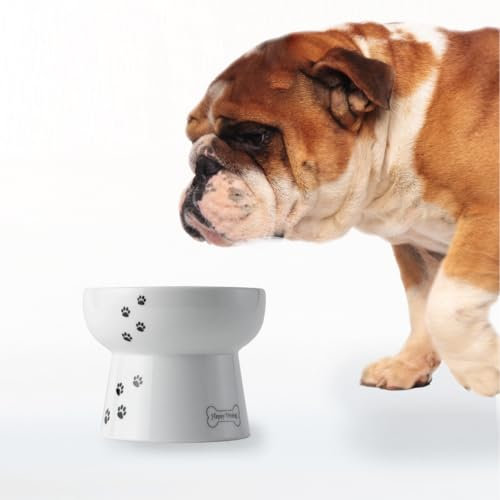 Necoichi Raised Dog Water Bowl, 0.543 kg