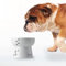 Necoichi Raised Dog Water Bowl, 0.543 kg