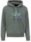 Alpha Industries Herren Basic Hoody Rainbow Ref. Print, Vintage Green, S