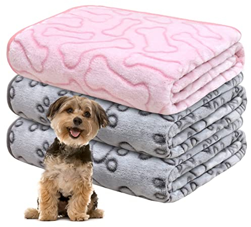 Gorgelly 1 Pack 3 Hundedecke, Weiche Haustierdecke Waschbar, Kuscheldecke Flauschig für Kleine Mittlere Hunde Katzen, Sofaschoner für Hunde, Hundedecke für Unterwegs, 60x50 cm