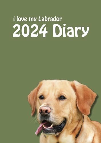 2024 i love my Labrador A4 Diary: 2024 A4 (8.27 x 11.69) Desk Diary - Week to View on 2 Pages - Yellow Labrador Year Planner/Journal/Organiser