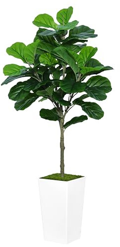 ASTIDY Künstlicher Feigenbaum mit weißem hohem Pflanzgefäß, 1,5 m, künstlicher Feigenbaum mit weißem hohem Pflanzgefäß – künstlicher Ficus Lyrata Bodenpflanze im Topf – künstlicher Feigenbaum für