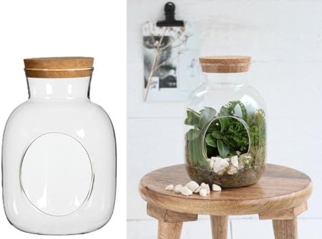 NaDeco Zylinder Flasche mit Korken Höhe 18cm Ø12 cm | Flaschengarten | Pflanzenterrarium | Glasvase | Pflanzenglas | Glaskugel | Dekovase | Dekovase | Dekoglas | Glasdeko