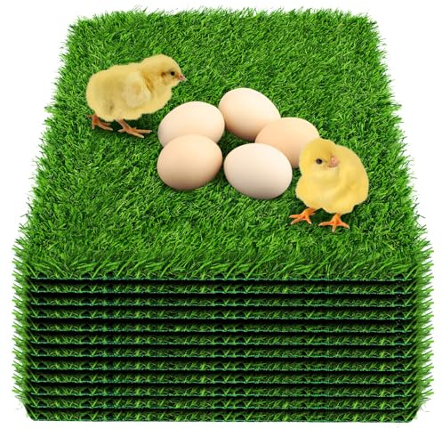 DenForste Hühner-Nistkasten-Pads – waschbare Kunstrasen-Nistpads – Hühner-Nistpads für Hühnerstall und Haustiergarten, Rasen, drinnen und draußen, 30,5 x 30,5 x 2,5 cm, 12 Stück