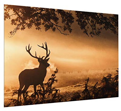 micasia Glas Spritzschutz magnetisch 4 mm starke Küchenrückwand Wald Glasrückwand - Made in Germany - Modern Hirsch Wandpaneel braun Küche Herd Magnetwand 4145-M (80x59cm)