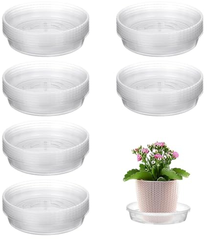 Pflanztassen-Set für transparente Pflanzen – Kollektion transparenter Topfhalter mit leistungsstarkem Wasserauffangsystem | Innen- und Außenbereich Garten-Stütz-Paket, für Cont