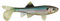 Berkley Unisex-Erwachsene PowerBait Sick Fish Swimbait Fishing Bait, 10,2 cm, Ghost Minnow, 2 Stück, 4 (2 Count)