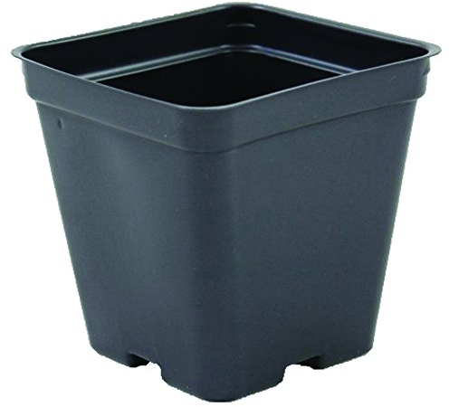 Grower's Solution Quadratische Gewächshaus-Töpfe, 8,9 x 8,9 cm, Schwarz, Kunststoff, tief, 200 Stück