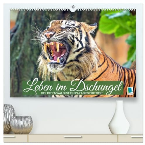 Leben im Dschungel: Der Regenwald ist ein Paradies für Tiere (hochwertiger Premium Wandkalender 2026 DIN A2 quer), Kunstdruck in Hochglanz: Die ... der Regenwälder Südostasiens (CALVENDO Tiere)