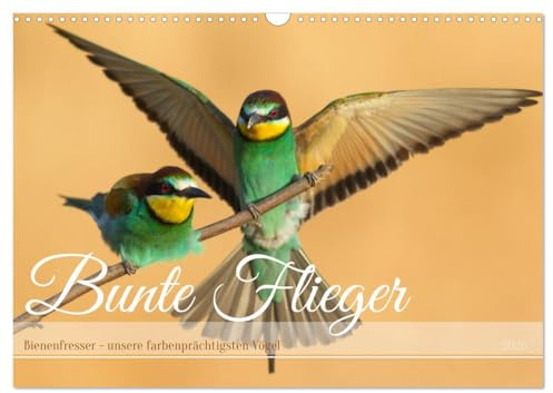 Bunte Flieger (Wandkalender 2026 DIN A3 quer), CALVENDO Monatskalender: Farbenprächtige Vögel in unterschiedlichen Szenen (CALVENDO Tiere)
