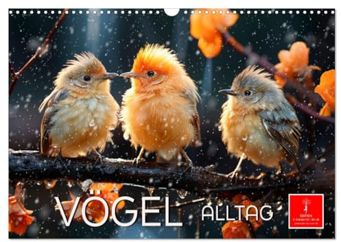 Vögel Alltag (Wandkalender 2026 DIN A3 quer), CALVENDO Monatskalender: Jeder Tag ein neues Abenteuer. (CALVENDO Tiere)