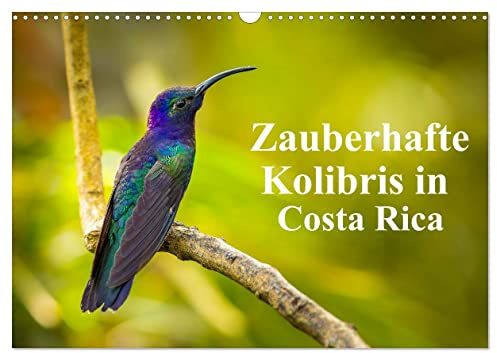 Zauberhafte Kolibris in Costa Rica (Wandkalender 2026 DIN A3 quer), CALVENDO Monatskalender: Ungefähr 52 Arten von Kolibris sind in Costa Rica ... ganzen Land zu sehen sind. (CALVENDO Tiere)