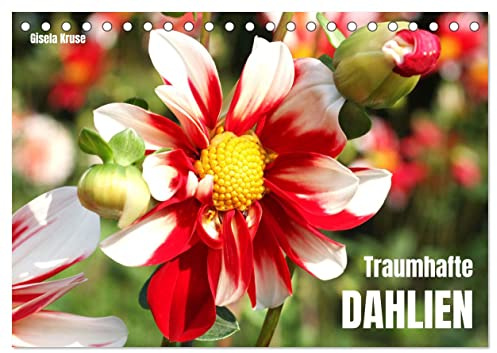 Traumhafte Dahlien (Tischkalender 2026 DIN A5 quer), CALVENDO Monatskalender: Die Königin des Spätsommers in farbenfroh leuchtenden Fotografien (CALVENDO Natur)