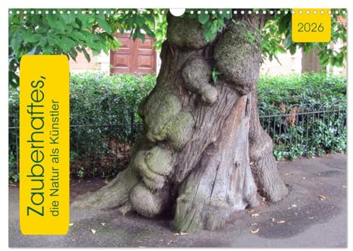Zauberhaftes, die Natur als Künstler (Wandkalender 2026 DIN A3 quer), CALVENDO Monatskalender: Baum, Strauch und Co. (CALVENDO Natur)