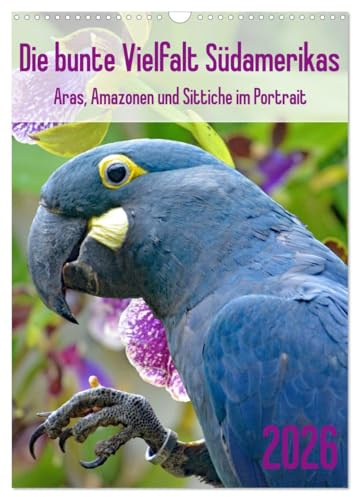 Die bunte Vielfalt Südamerikas - Aras, Amazonen und Sittiche im Portrait (Wandkalender 2026 DIN A3 hoch), CALVENDO Monatskalender: Bezaubernede Portraits farbenprächtiger Papageien (CALVENDO Tiere)