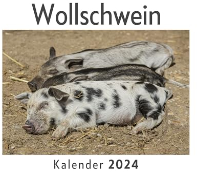 Wollschwein (Wandkalender 2024, Kalender DIN A4 quer, Monatskalender im Querformat mit Kalendarium, Das perfekte Geschenk)