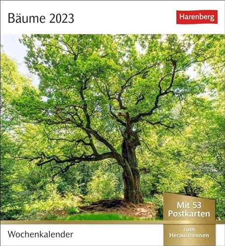 Bäume Postkartenkalender 2023. Fotokalender mit 53 Postkarten zum Sammeln und Verschicken. Dekorative Baum-Aufnahmen von bekannten Fotografen. Kleiner ... 2023.: Wochenkalender mit 53 Postkarten