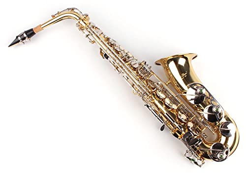 Karl Glaser Alt Saxophon, Messing chrom, mit Koffer