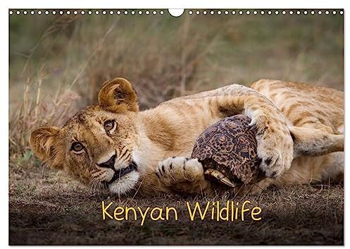 Kenyan Wildlife (Wandkalender 2025 DIN A3 quer), CALVENDO Monatskalender