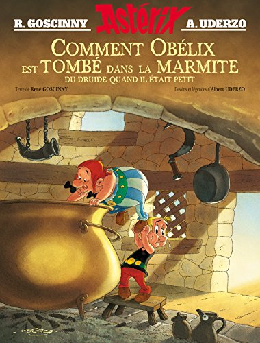 Astérix - Comment Obélix est tombé dans la marmite du druide quand il était petit: Bandes dessinées (Asterix)