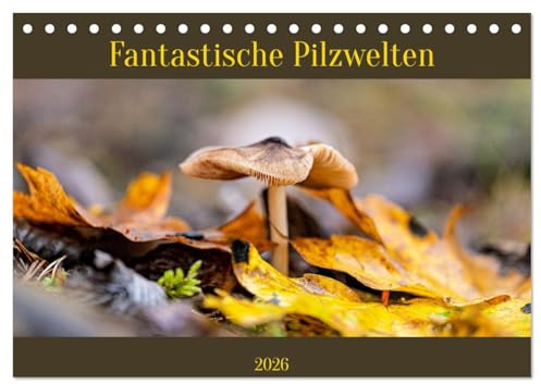 Fantastische Pilzwelten (Tischkalender 2026 DIN A5 quer), CALVENDO Monatskalender: Pilze sind unglaublich vielfältig. (CALVENDO Natur)