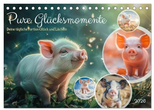 Pure Glücksmomente (Tischkalender 2026 DIN A5 quer), CALVENDO Monatskalender: Tauche ein in die fröhliche Welt der Glücksschweinchen! Unser Kalender ... Sprüchen durch das Jahr. (CALVENDO Tiere)