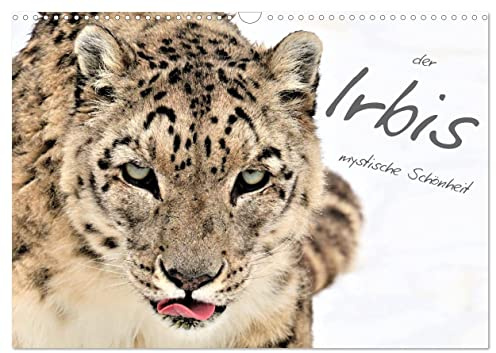 der Irbis - mystische Schönheit (Wandkalender 2026 DIN A3 quer), CALVENDO Monatskalender: Eine Reihe schöner Bilder von Schneeleoparden (CALVENDO Tiere)