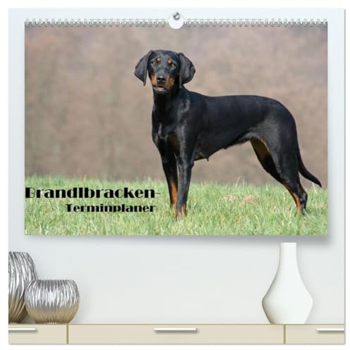 Der Brandlbracken-Terminplaner (hochwertiger Premium Wandkalender 2026 DIN A2 quer), Kunstdruck in Hochglanz: Die Brandlbracke - für die Jagd geboren (CALVENDO Tiere)