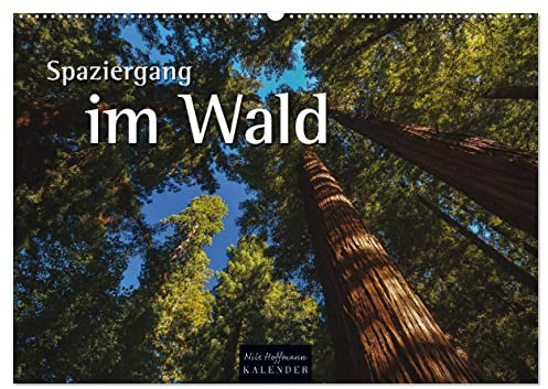 Spaziergang im Wald (Wandkalender 2026 DIN A2 quer), CALVENDO Monatskalender: Jahreszeitliche Einblicke in den Wald (CALVENDO Natur)