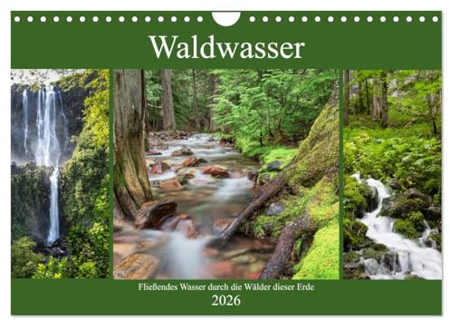 Waldwasser (Wandkalender 2026 DIN A4 quer), CALVENDO Monatskalender: Fließendes Wasser im Wald hat etwas erfrischendes und belebendes. (CALVENDO Natur)